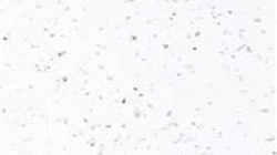 Акриловый камень DuPont Corian Sparkling White