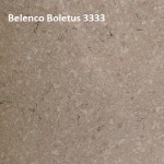 Belenco-Boletus-3333