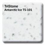 Antarctic-TS-101
