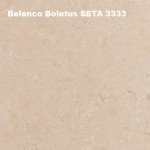 Belenco-Boletus-SETA-3333