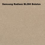Samsung-Radianz-BL260-Boletus