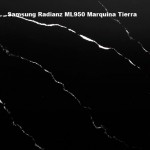 Samsung-Radianz-ML950-Marquina-Tierra