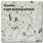 Grandex E-609 BUSINESS TOKIO